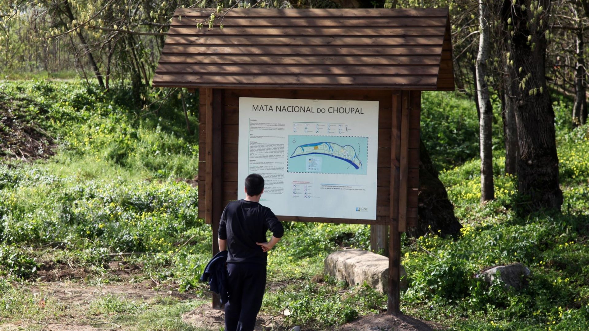 CM Coimbra e CASPAE cooperam para promover atividades no Choupal a 1000 crianças do pré-escolar