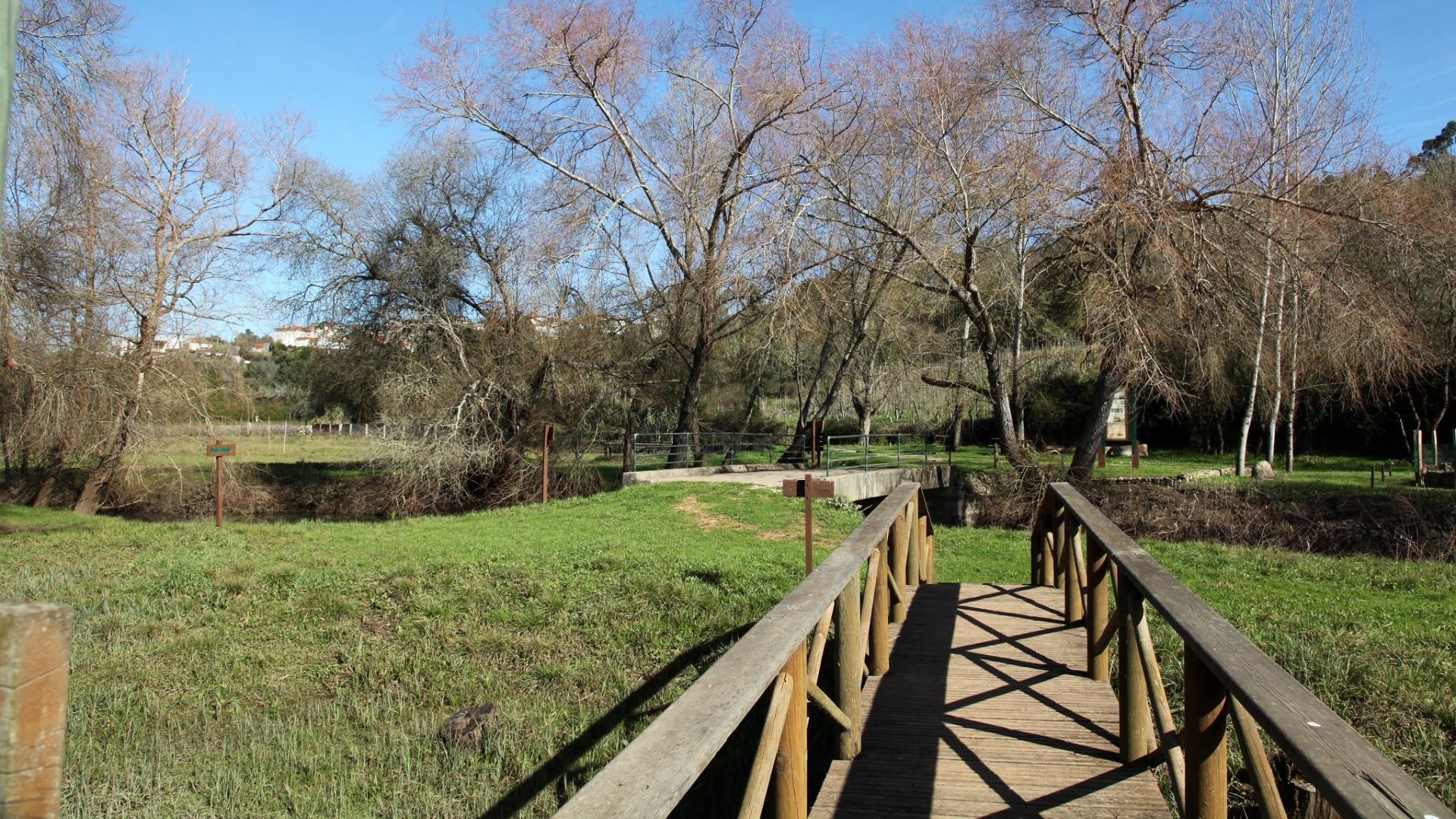 Coimbra preside ao modelo de cogestão da Reserva Natural do Paul de Arzila