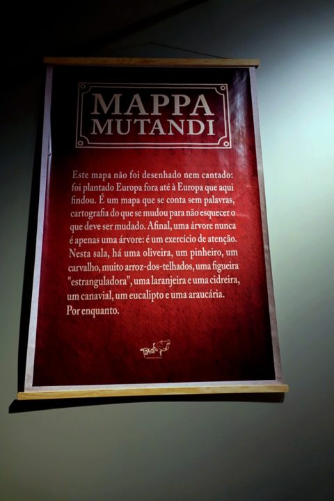 DSC02435 (Custom) (Custom)