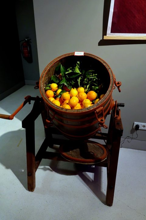 DSC02436 (Custom) (Custom)