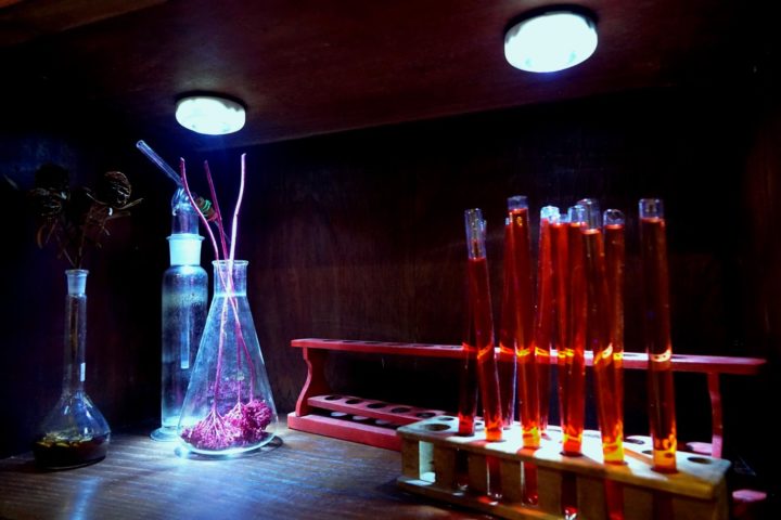 DSC02466 (Custom) (Custom)