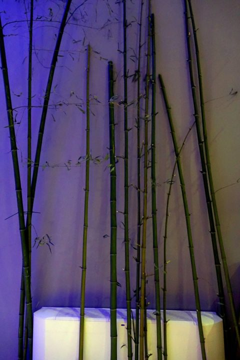 DSC02473 (Custom) (Custom)