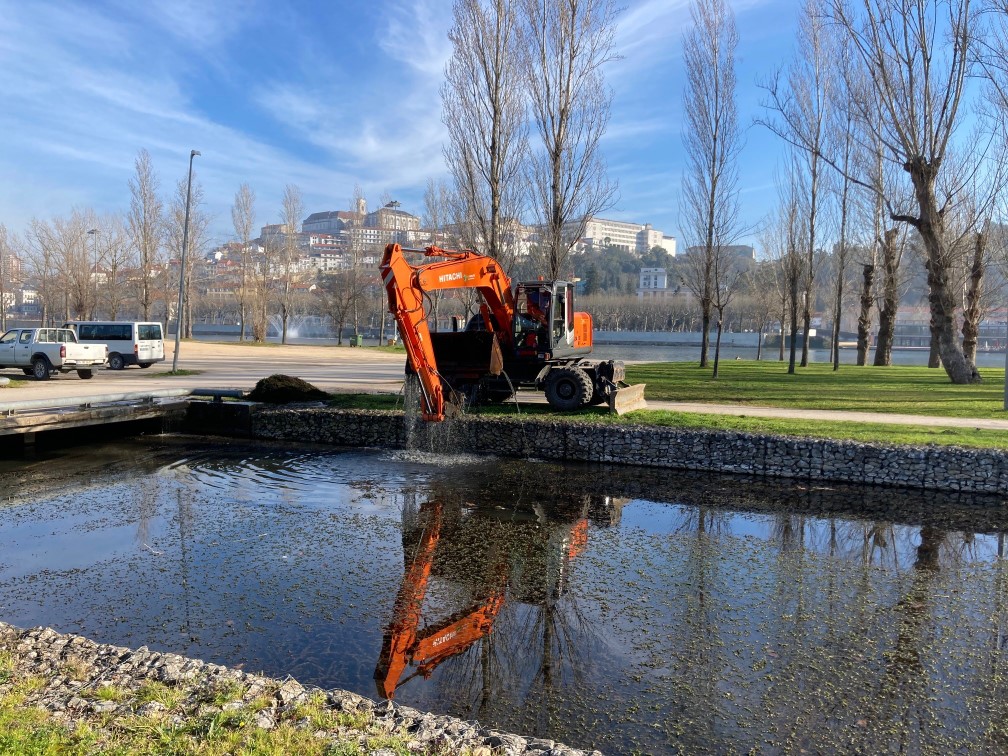 CM Coimbra remove espécie invasora no canal da margem esquerda do Parque Verde do Mondego