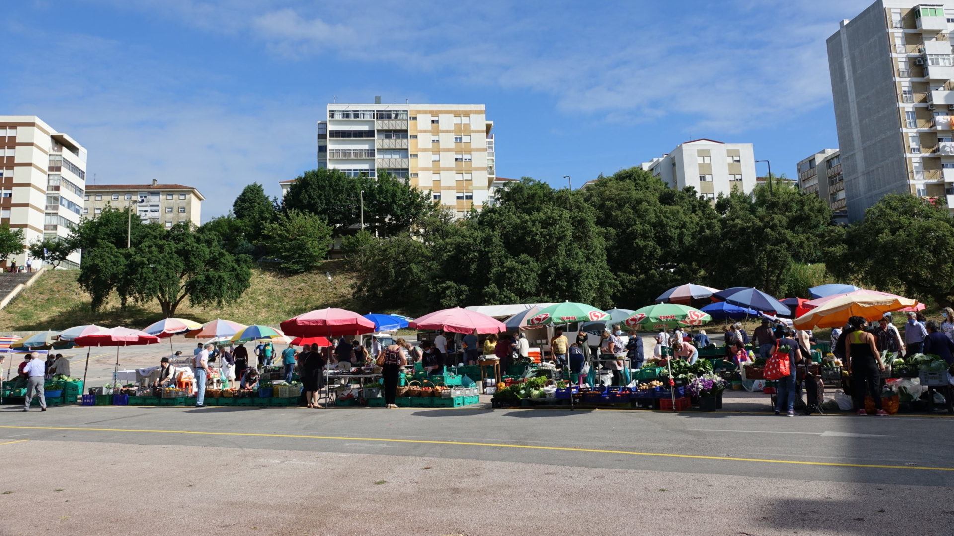 CM Coimbra avança com novo Regulamento Municipal da Feira do Bairro Norton de Matos