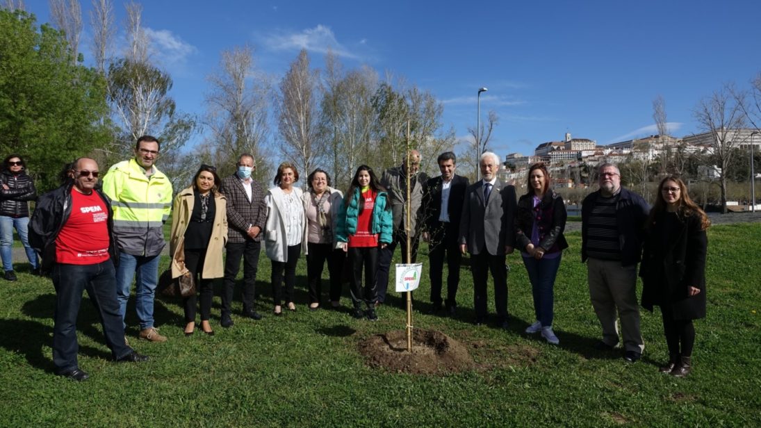CM de Coimbra assinala Dia Internacional da Floresta e alerta para a importância das árvores