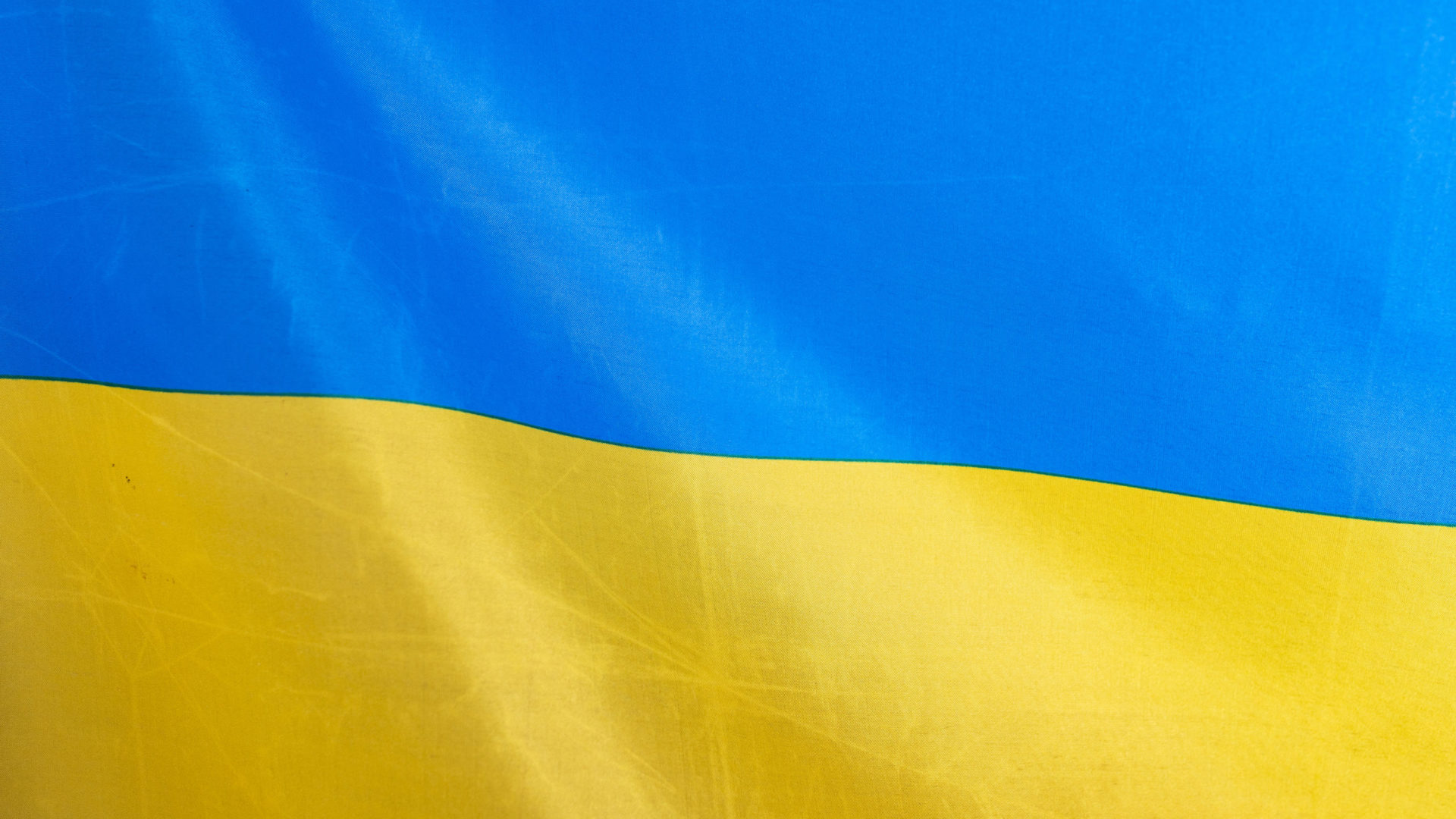 CM Coimbra cria banco de famílias para acolher e apoiar refugiados ucranianos