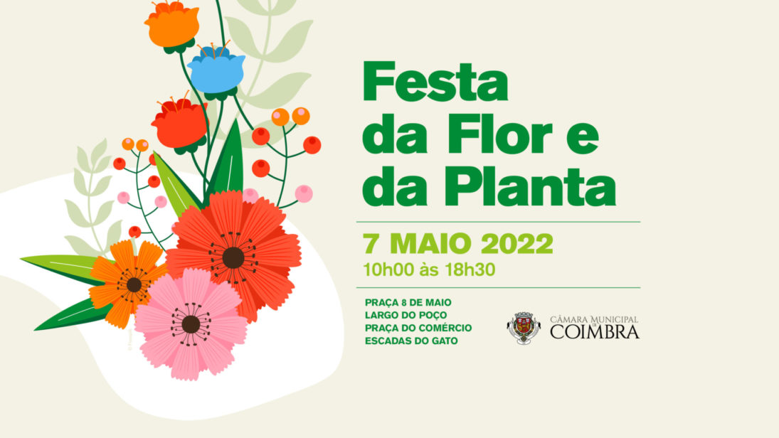 Festa da Flor e da Planta anima a Baixa de Coimbra no próximo sábado