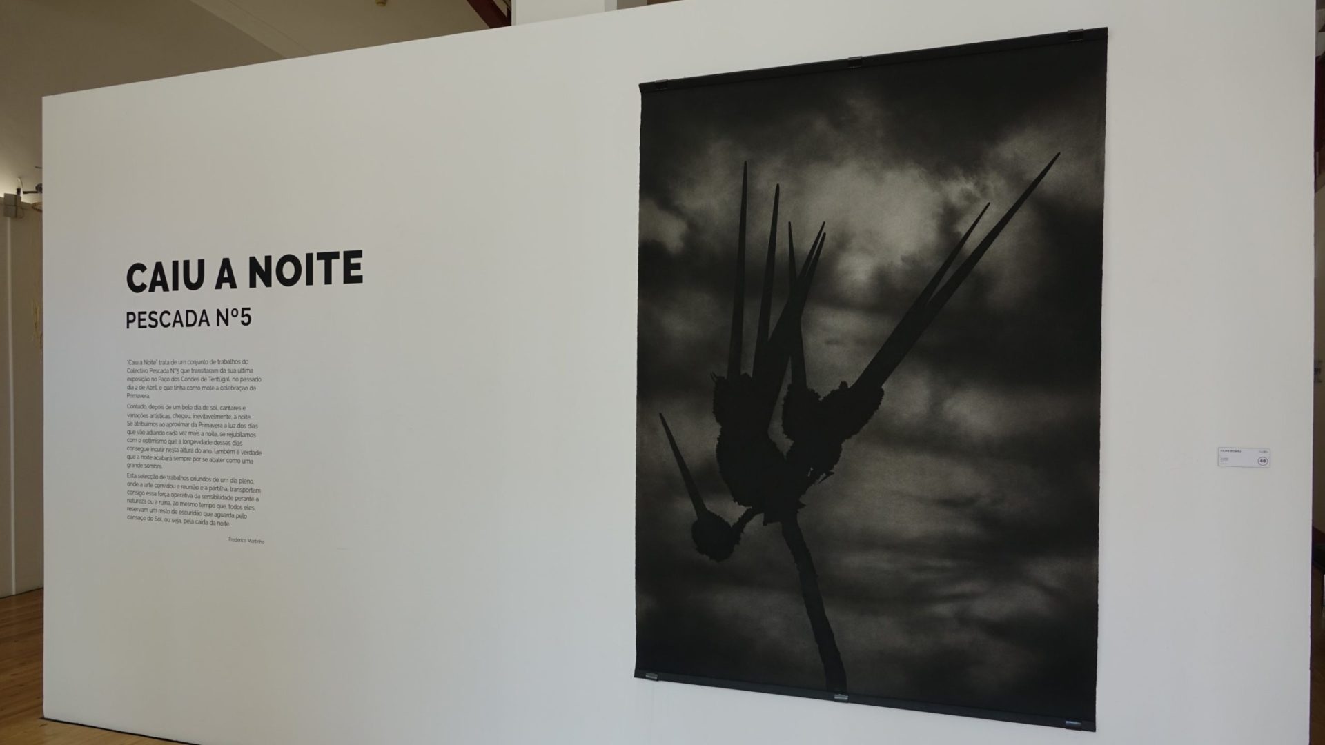 Oficina “As Cores e as Formas da Noite” no Museu Municipal de Coimbra, de 10 a 13 de maio