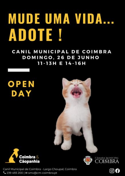 Canil municipal promove adoção de animais com “open day” no próximo domingo