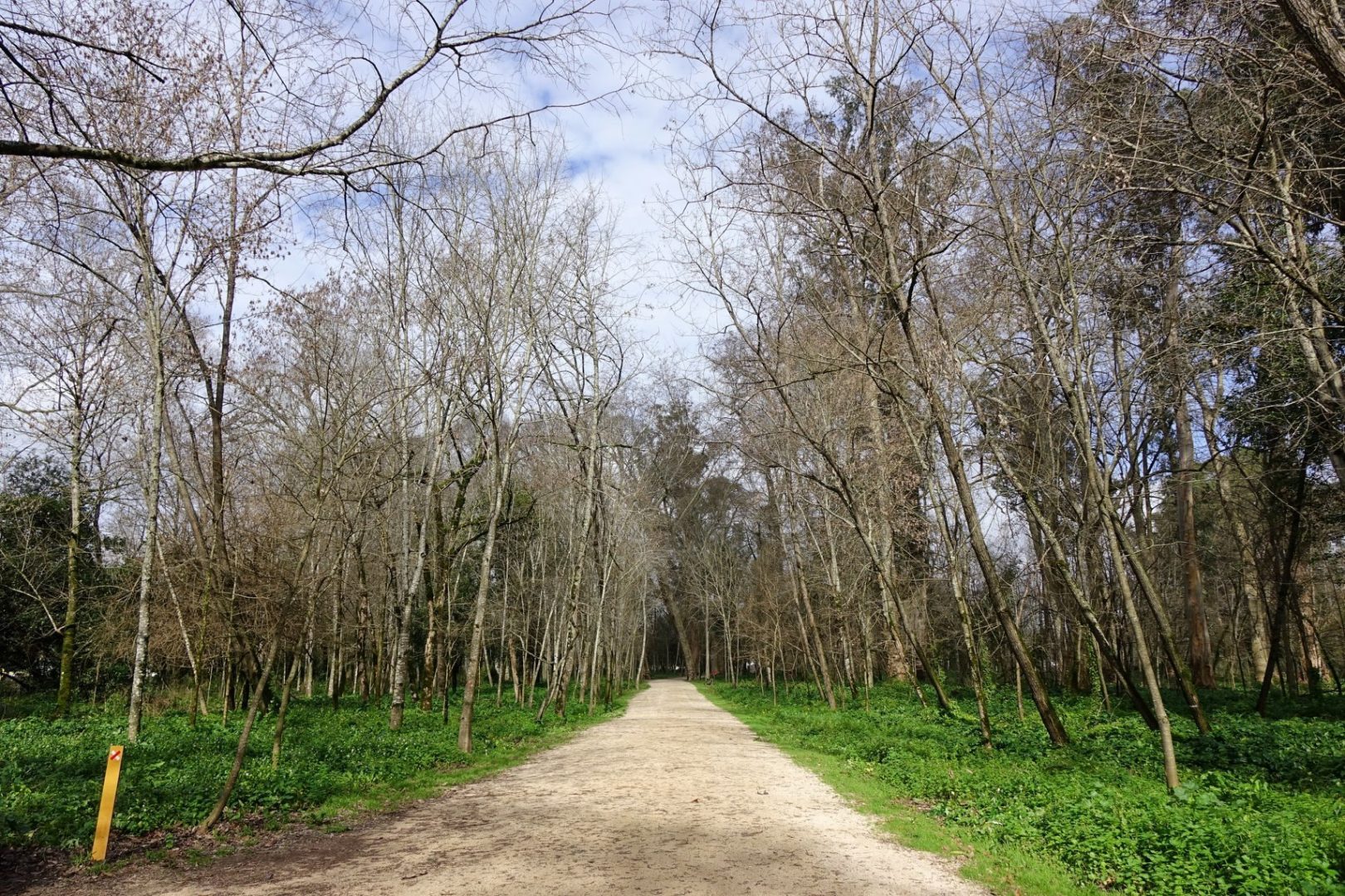 Coimbra cria Rede Municipal de Micro-Reservas para a Conservação da Natureza e Biodiversidade