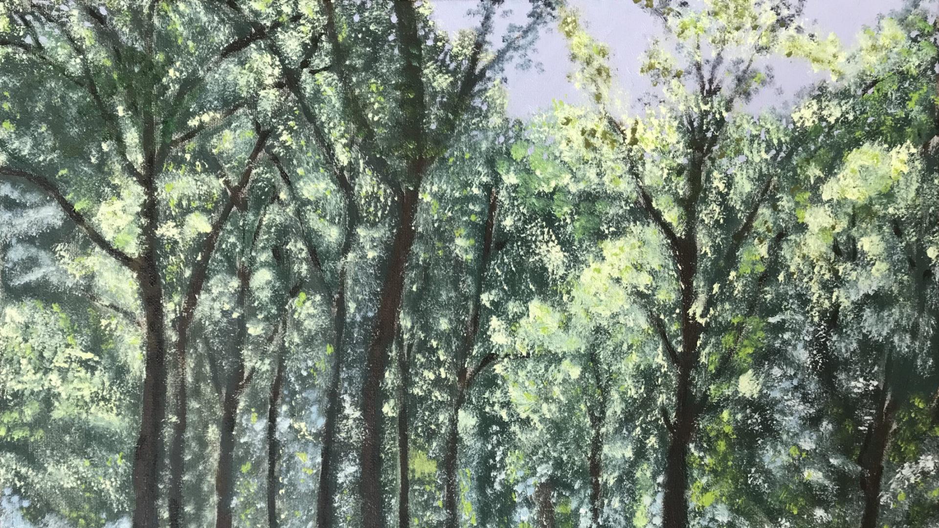 Galeria Almedina acolhe oficina “Fernando, o pintor da realidade” de 21 a 24 de junho