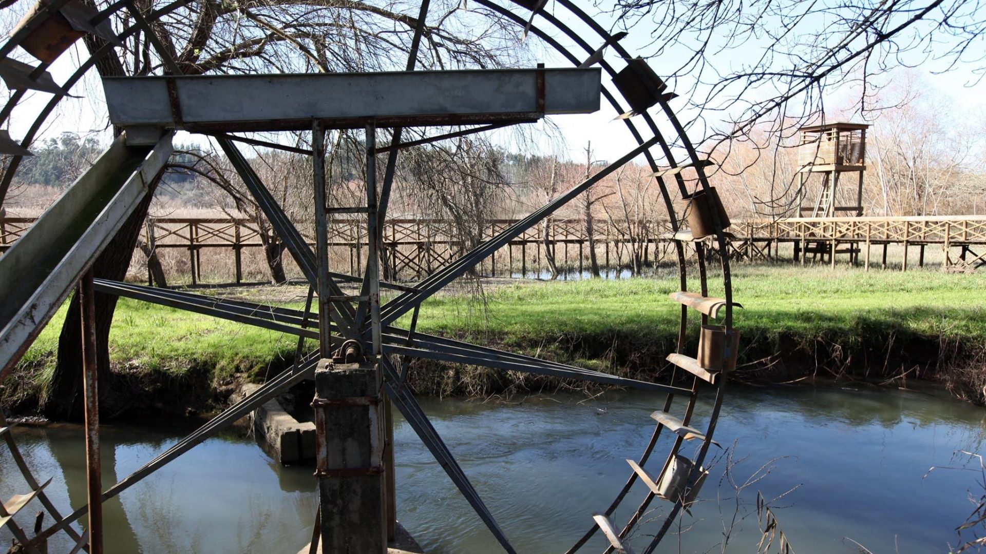 Câmara propõe integração de entidades na Comissão de Cogestão da Reserva Natural do Paul de Arzila