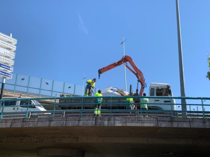 WhatsApp Image 2022-05-28 at 10.58.00 (3)