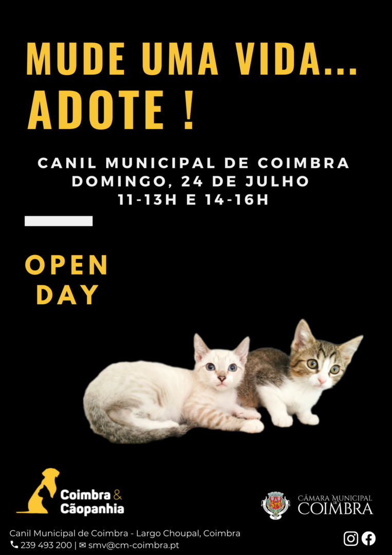 “Open day” regressa ao Canil Municipal no próximo domingo para promover adoção de animais