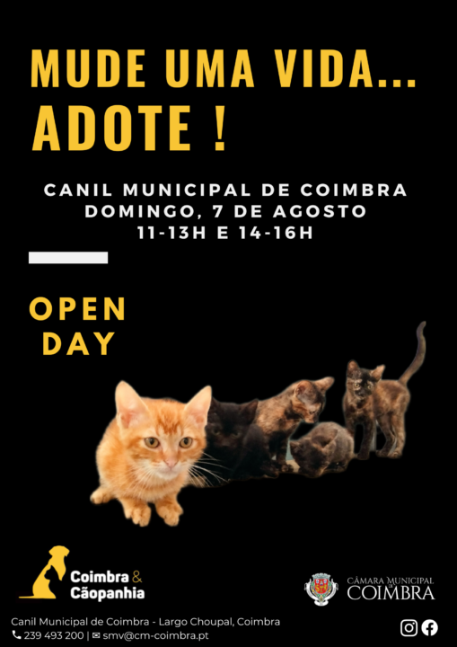 10_20220729_131911_0009