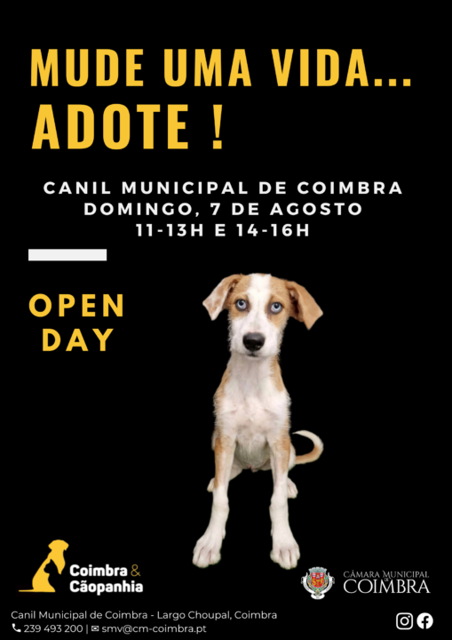 12_20220729_131911_0011