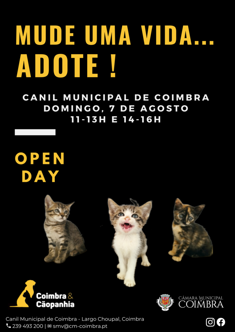 Canil Municipal com “open day” no domingo para promover adoção de animais