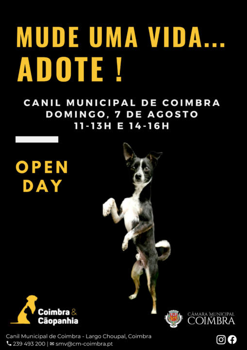 7_20220729_131911_0006