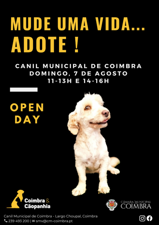 9_20220729_131911_0008