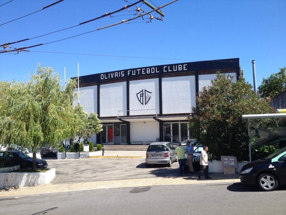 Abate de árvores junto ao Pavilhão dos Olivais não é da responsabilidade da autarquia