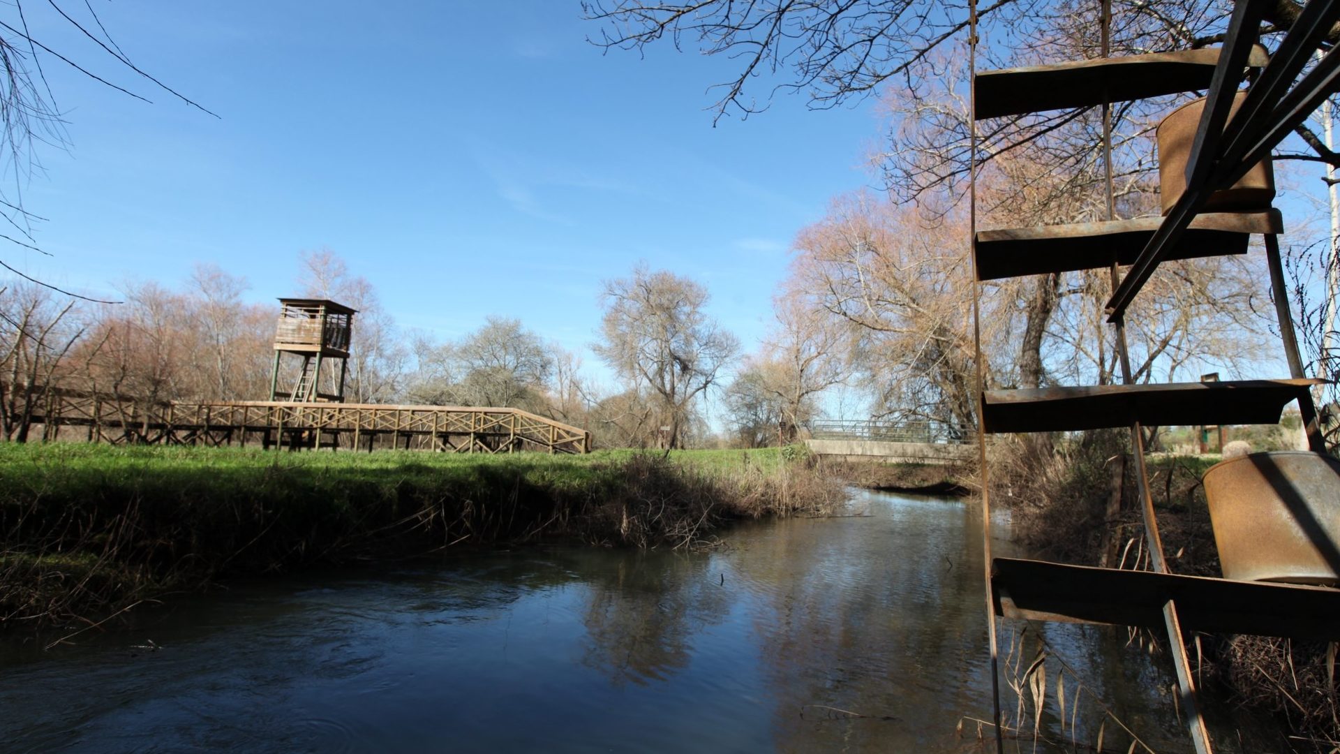 CM de Coimbra preside à comissão de cogestão da Reserva Natural do Paul de Arzila
