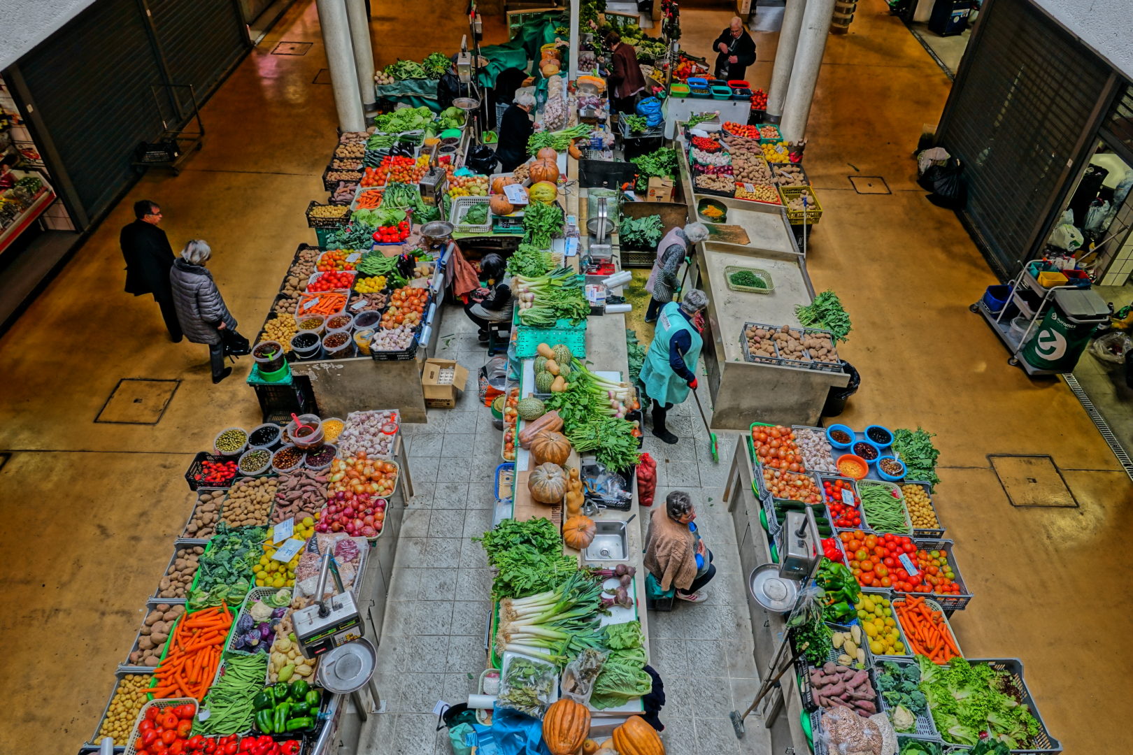 CM de Coimbra lança hasta pública de 57 locais de venda no Mercado D. Pedro V na 4ª feira, no Salão Nobre