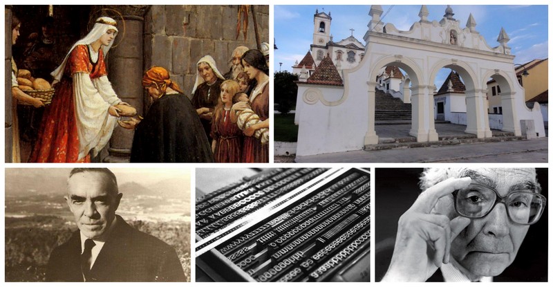 CM de Coimbra promove 5 vistas guiadas em novembro