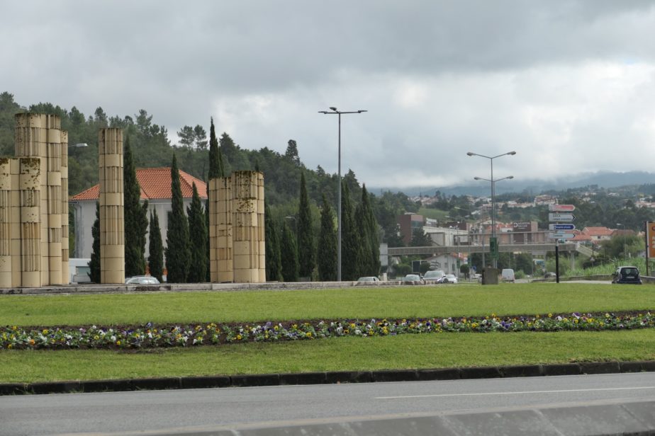 CM de Coimbra recebe doação de plantas para embelezamento de espaços ajardinados municipais