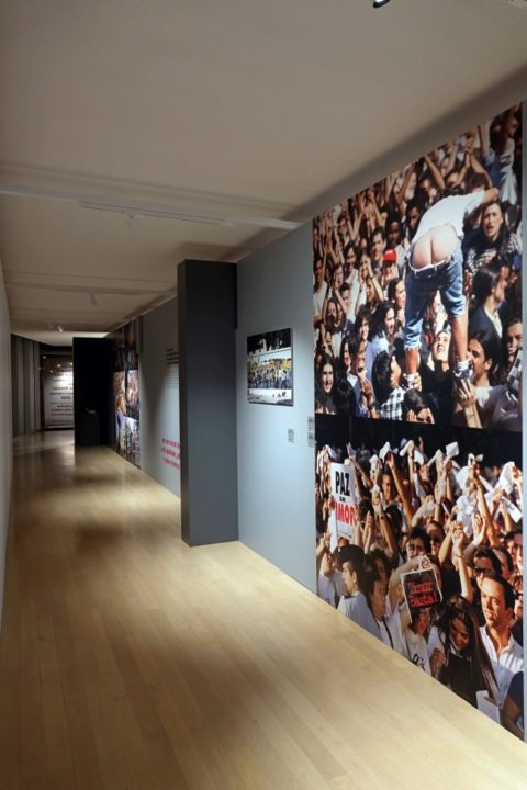 batch_DSC01754 (Custom) (Custom)