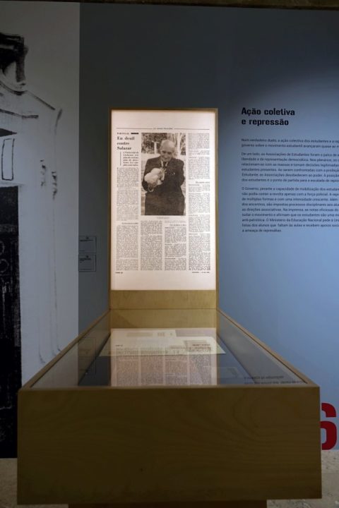 batch_DSC01762 (Custom) (Custom)