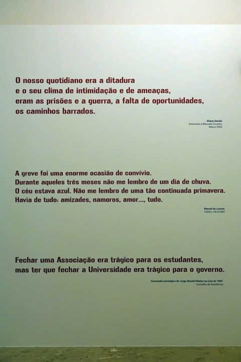 batch_DSC01764 (Custom) (Custom)