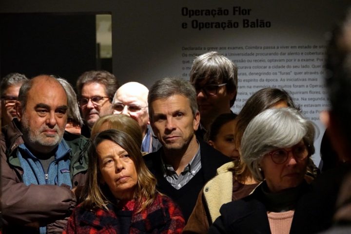 batch_DSC02074 (Custom) (Custom)