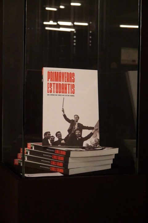 batch_DSC02236 (Custom) (Custom)