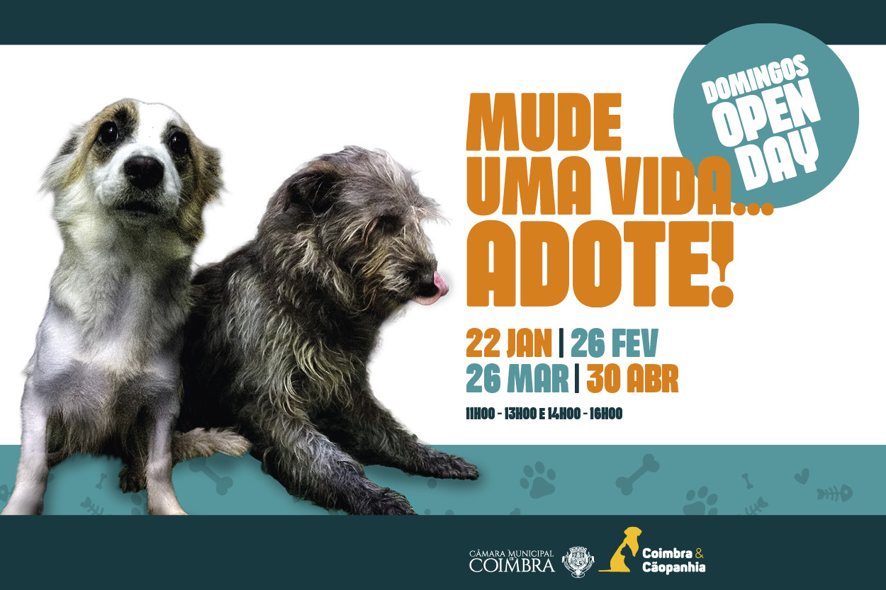 Canil Municipal abre um domingo por mês em “Open Day” para adoção gratuita e responsável