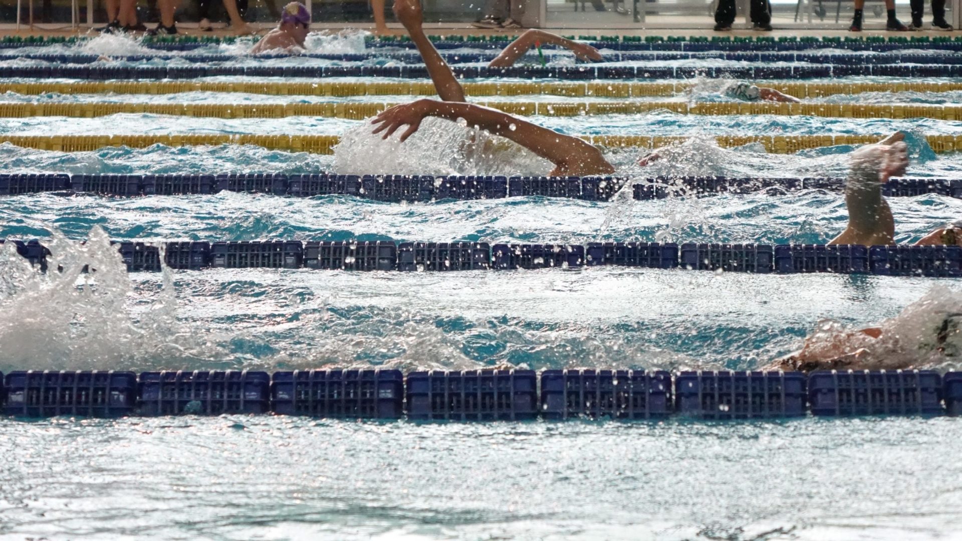 Câmara Municipal cede apoio de 7.500 euros à Associação de Natação de Coimbra