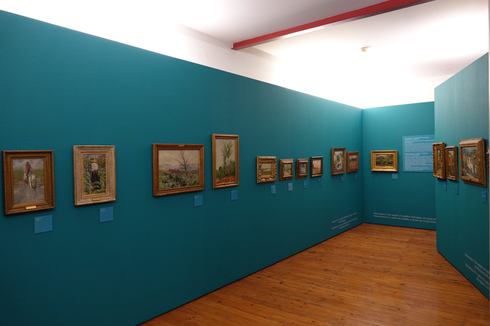 Museu Municipal de Coimbra com entradas gratuitas no próximo sábado