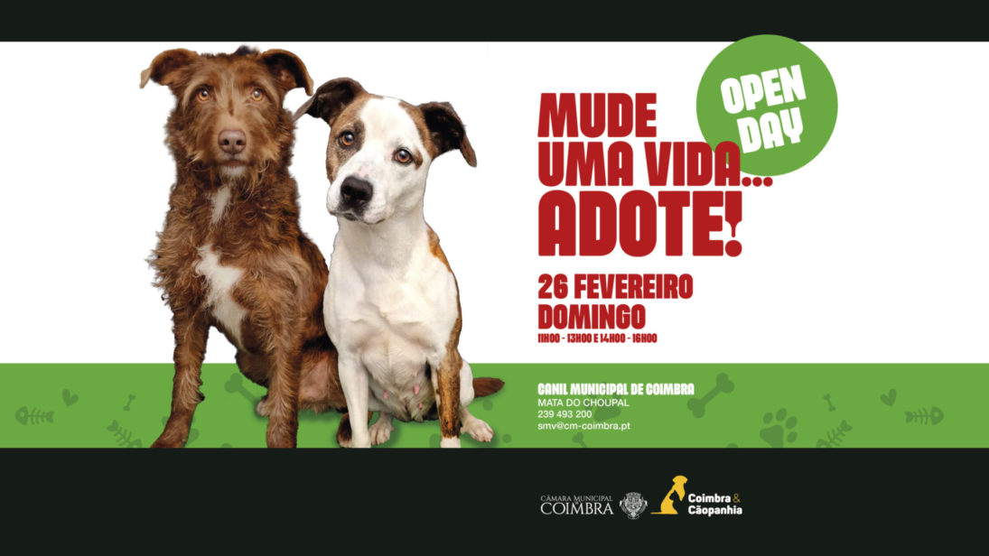 Canil Municipal promove adoção de animais com mais um “Open Day” no dia 26 de fevereiro