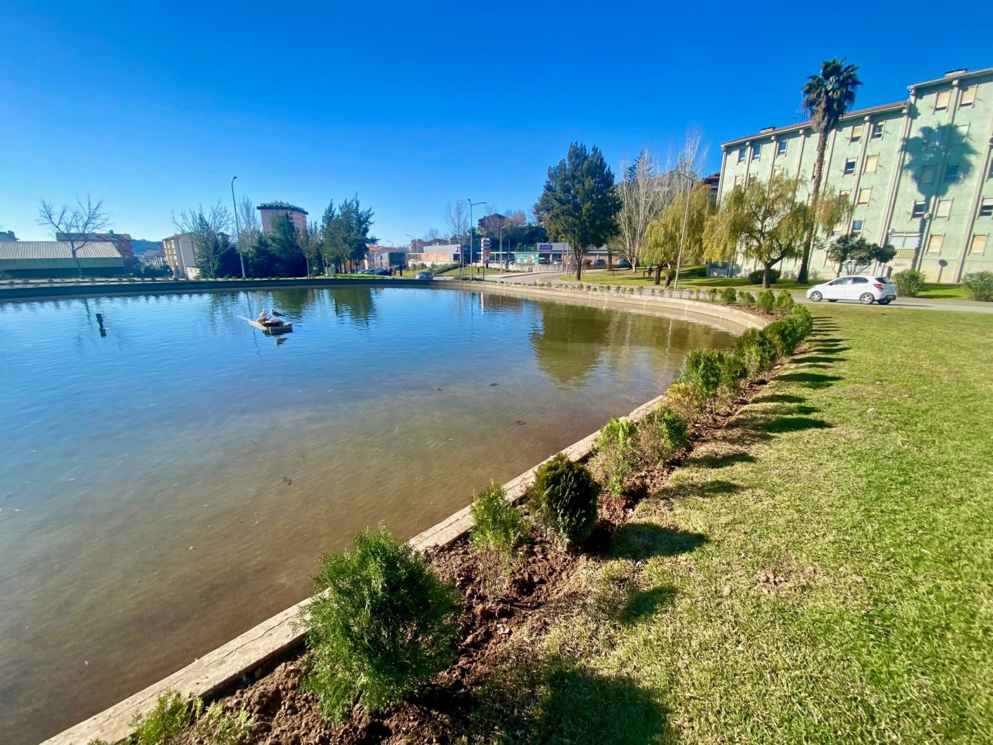 CM de Coimbra realizou intervenção de melhoria na rotunda da Quinta da Maia
