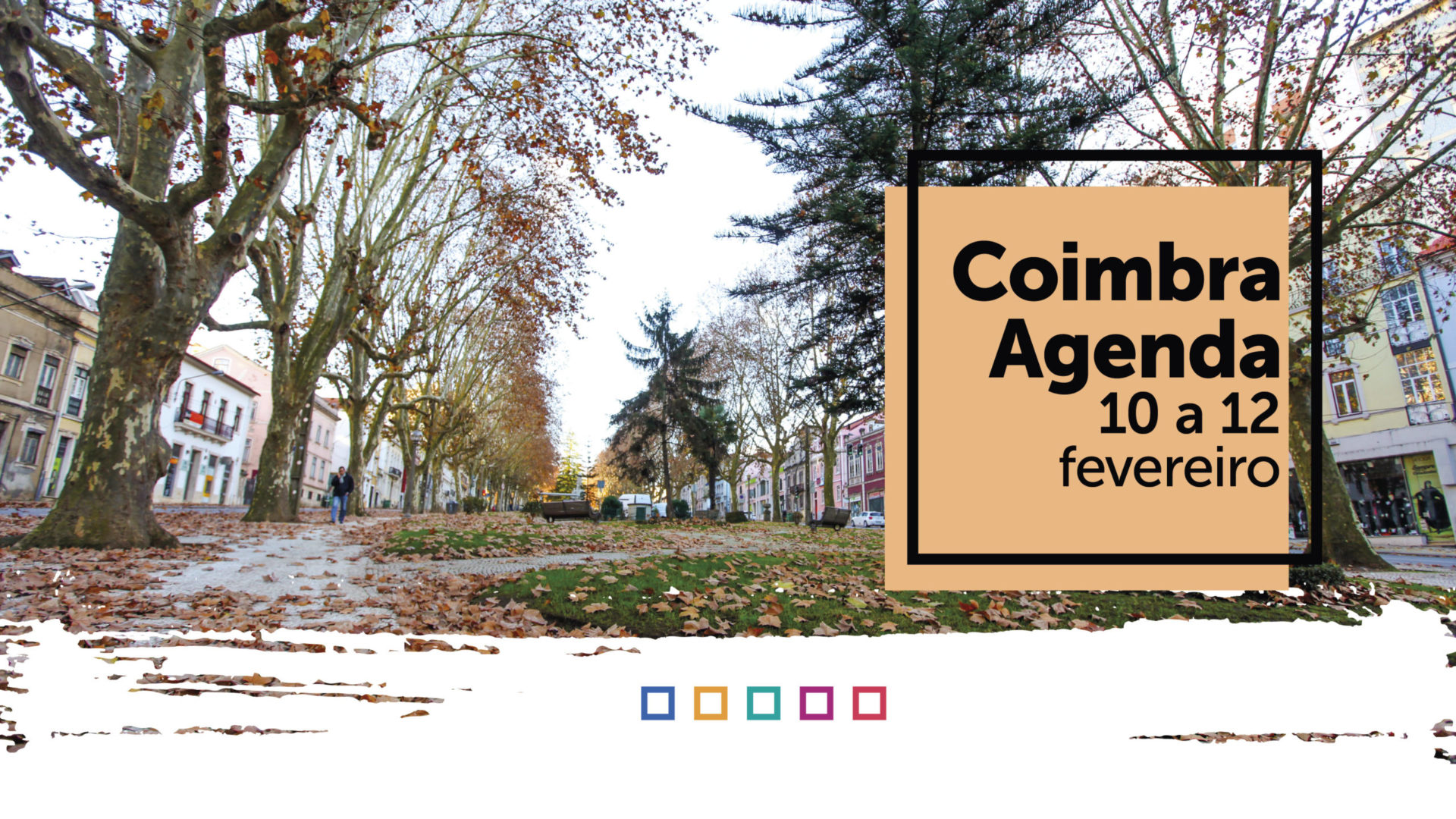 Atividade cultural do Município de Coimbra para o fim de semana