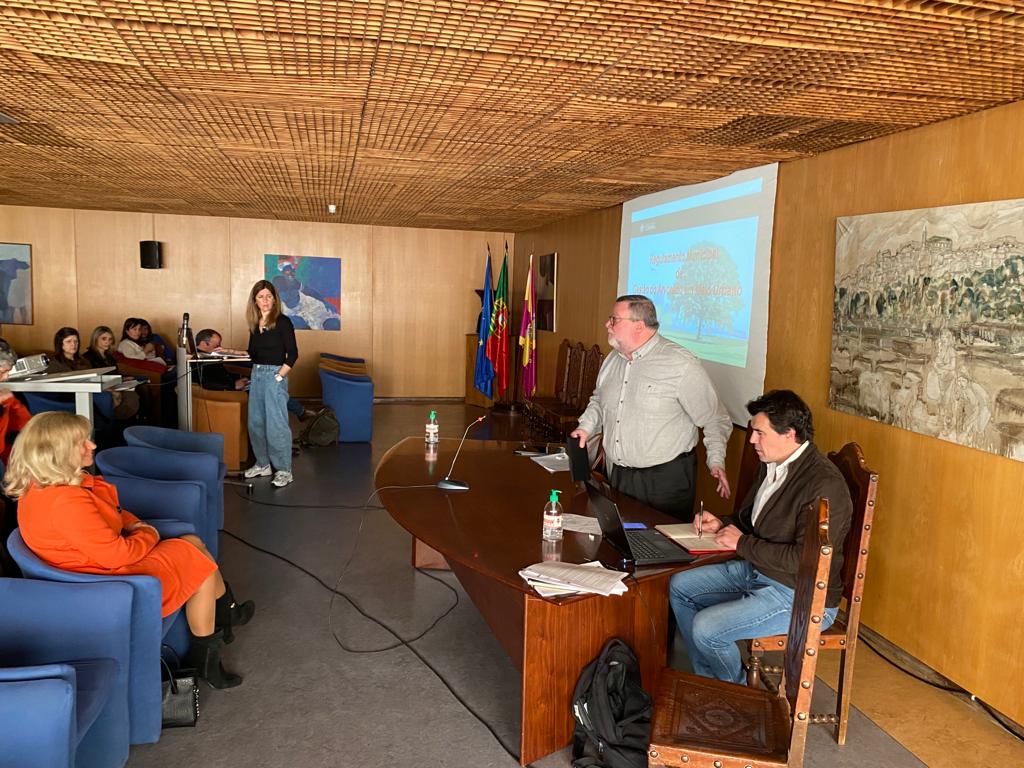 CM de Coimbra analisa internamente Regulamento de Gestão do Arvoredo em Meio Urbano