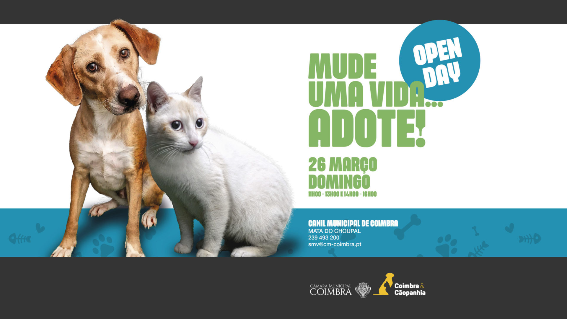 Open Day no Canil Municipal no próximo domingo