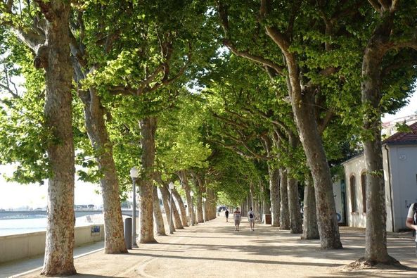 CM de Coimbra aprova aplicação de sanções ao empreiteiro responsável pela obra do Parque Manuel Braga