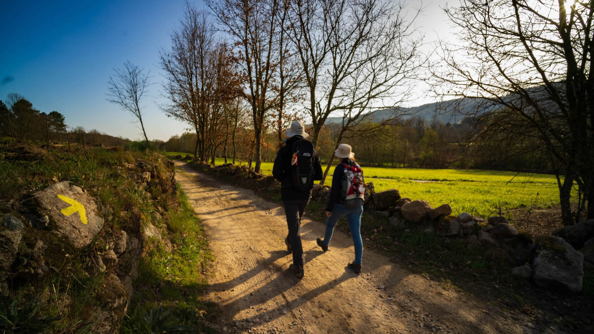 CM de Coimbra vai aderir à Federação Portuguesa do Caminho de Santiago