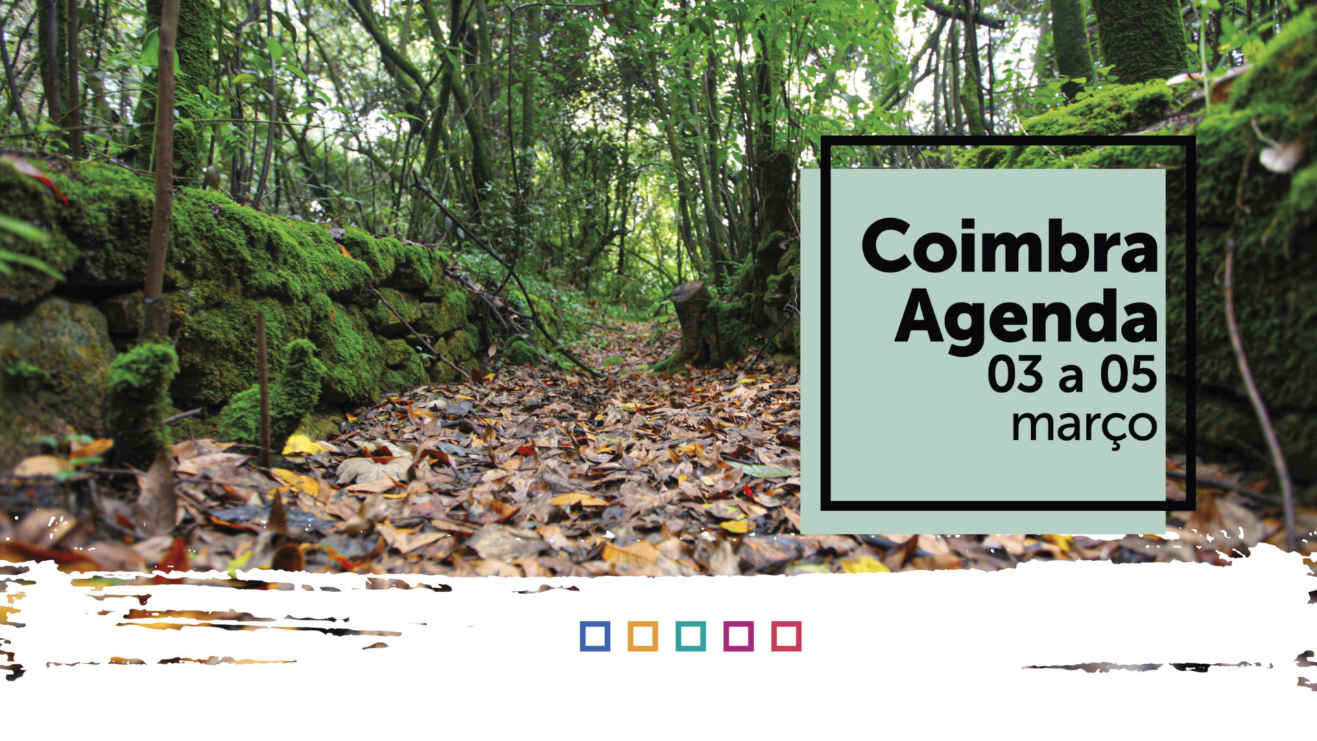 Atividade cultural do Município de Coimbra para o fim de semana