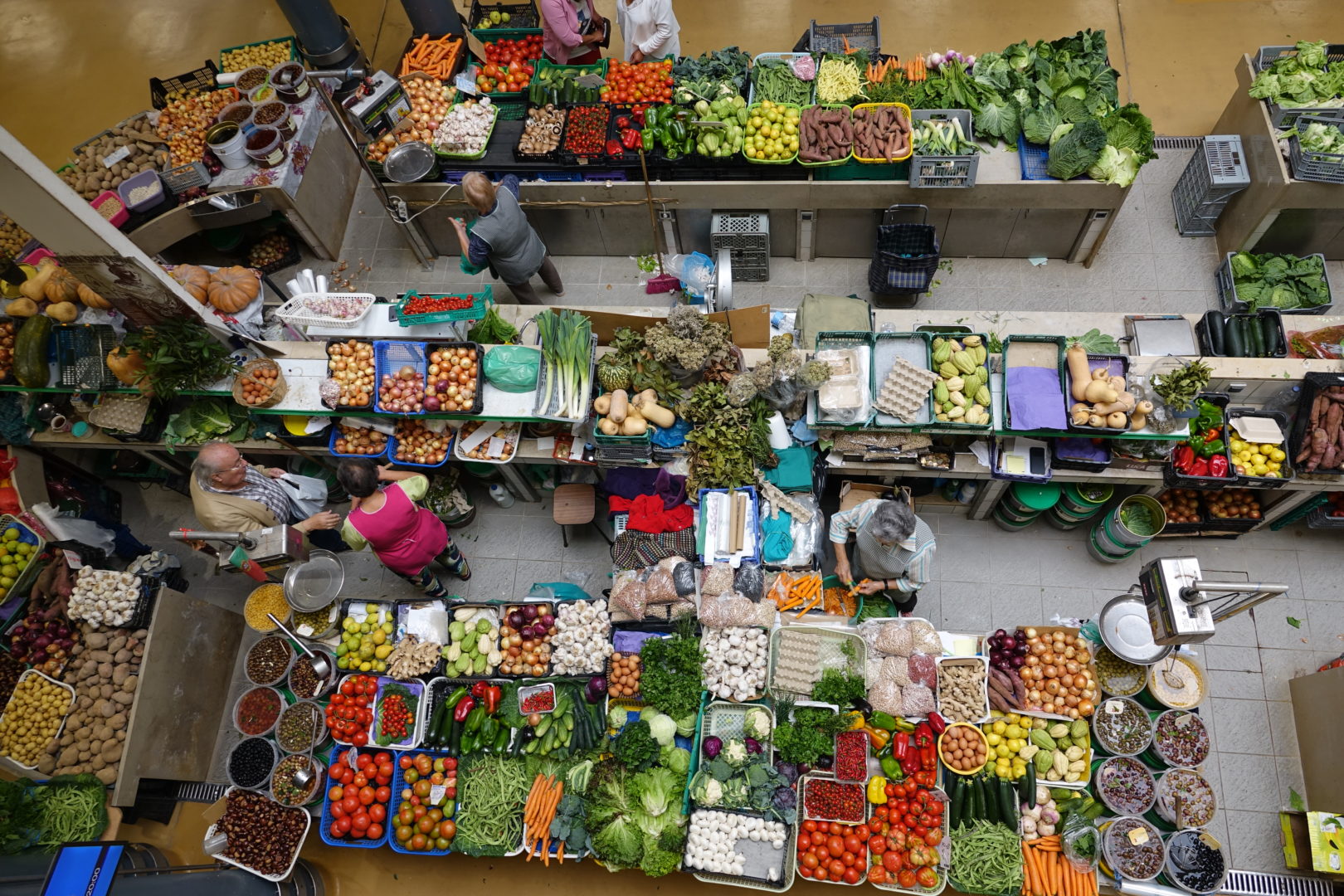 CM de Coimbra realiza hasta pública de 63 locais de venda no Mercado Municipal D. Pedro V a 19 de abril