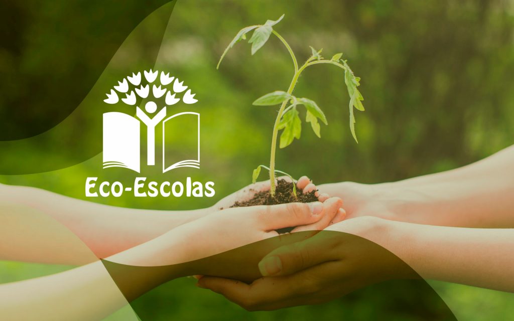 Câmara apoia participação de estabelecimentos de ensino no programa Eco Escolas