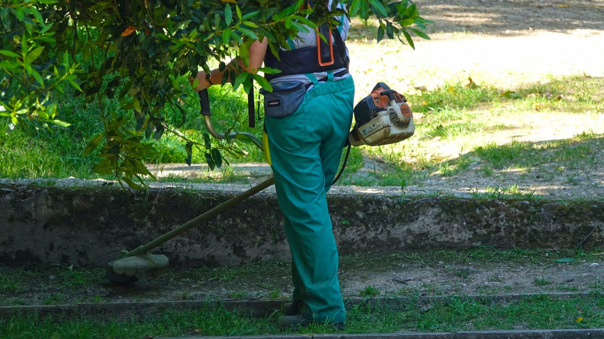 Câmara transfere 2,5 M€ para a limpeza de vias e espaço público nas freguesias