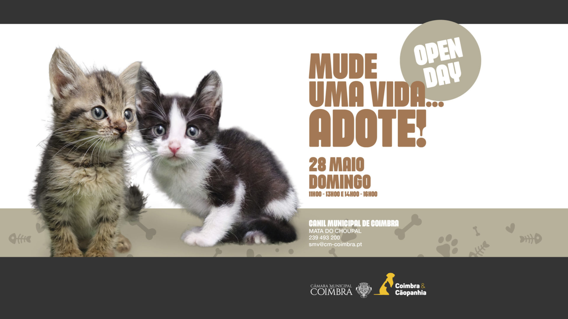 “Open Day” no próximo domingo no Canil Municipal