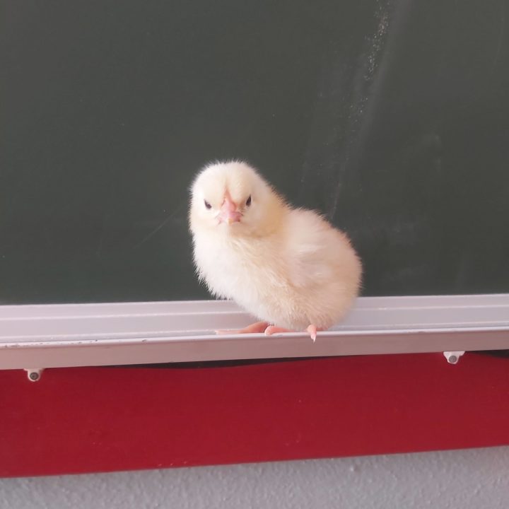 341528839_2448175998680366_2716890003843467365_n