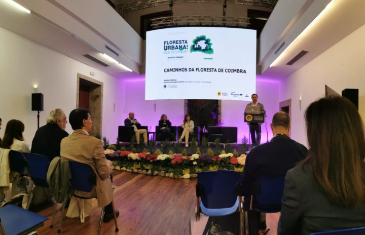 Imagem WhatsApp 2023-05-05 às 12.16.53